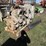 cummins-855-image-2