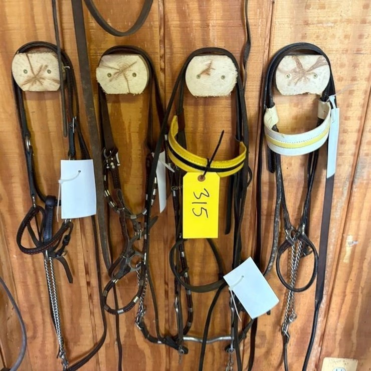 (2) In-hand Show Bridles & (2) Halters