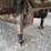 1998-manac-step-deck-image-9