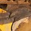 2005-komatsu-d39px-21-image-16
