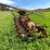 #4474-•-ih-153-cultavator-image-4