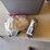 sandpaper/abrasive-discs,-polishing-items-image-4