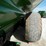 balzer-6350-magnum-image-8