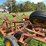#4467-•-fox-brady-18'-digger-image-8
