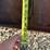john-deere-630-image-10