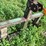 #4448-•-john-deere-large-stack-mover-image-3