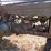 1949-john-deere-a-image-2