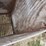 raised-calf-crates-image-17