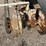 #8629-•-conveyor-unit-(maq)-image-23