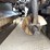 #8612-•-2019-cat-ap100f-asphalt-paver-(aps)-image-124