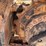 2016-caterpillar-336fl-image-20