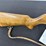 springfield-model-234-.22-s,l,-or-lr-rifle-image-3