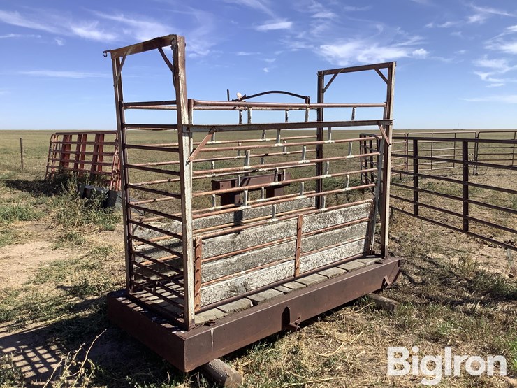 ww-800-livestock-scale-image-1