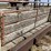 ww-800-livestock-scale-image-16
