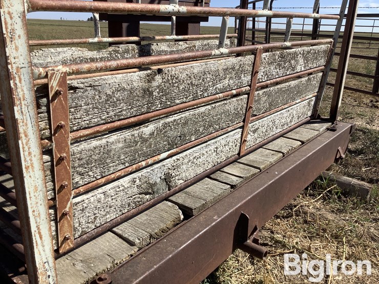 ww-800-livestock-scale-image-16
