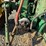 john-deere-630-image-28