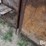 raised-calf-crates-image-19