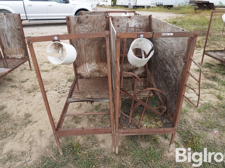 raised-calf-crates-image-2