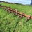 #4426-•-noble-digger-image-3