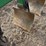 john-deere-975-image-16
