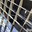 2025-giyi-mb27-skid-steer-mixing-bucket-attachment-image-10