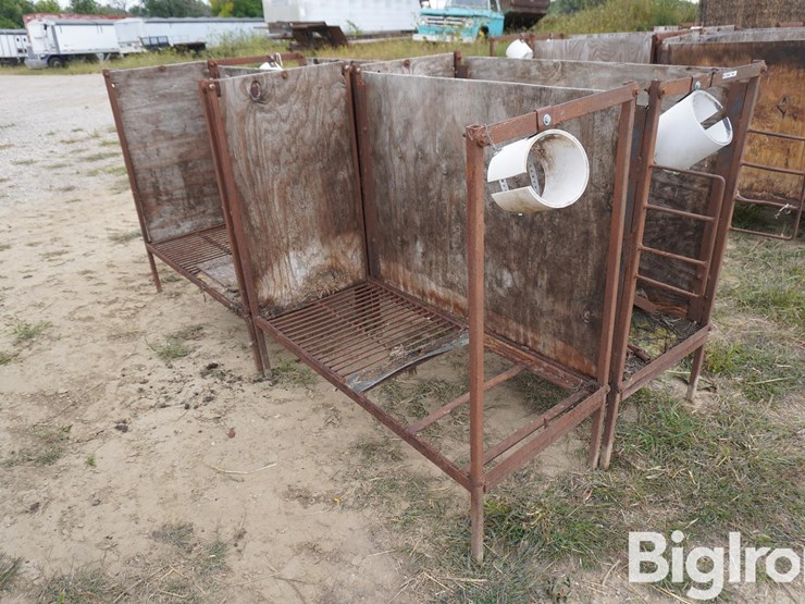 raised-calf-crates-image-3