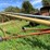 #4476-•-westfield-80-51-auger-elevator-image-7