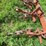 #4426-•-noble-digger-image-9