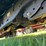 2022-ford-f350-xl-image-6