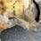komatsu-d65px-image-26