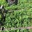 #4448-•-john-deere-large-stack-mover-image-8