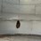 #4495-•-chicago-grain-bin-image-22