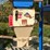 #176-•-esp-pellet-bagger-image-14