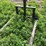 #4448-•-john-deere-large-stack-mover-image-4