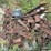 #153-•-pats-barn-sweep-conveyor-image-34