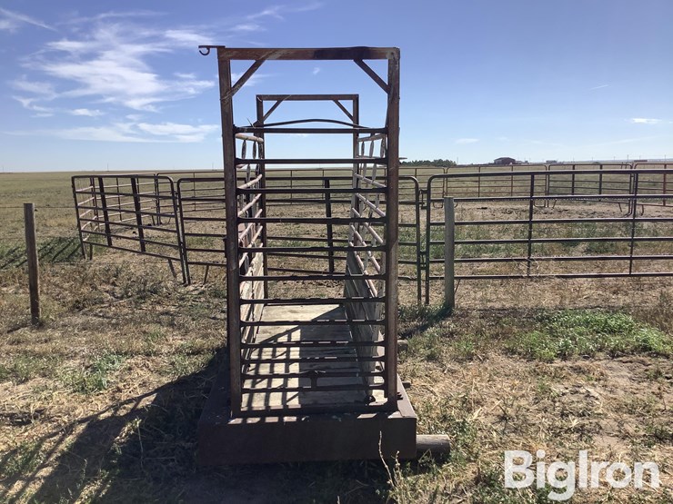 ww-800-livestock-scale-image-2