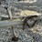 #116-•-1997-marine-fishing-boat-image-45