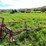 #4450-•-tine-ride-boom-sprayer-image-4