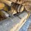 2021-caterpillar-d5-lgp-image-33