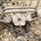 group-of-48-victor-double-coil-spring-traps-image-9