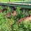 #4462-•-john-deere-(4)-bottom-plow-image-5