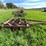 #4463-•-brady-(10)-tooth-chisel-plow-image-4
