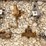 group-of-48-victor-double-coil-spring-traps-image-3