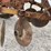 allis-chalmers-model-g-tractor-w/-implements-image-13