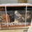 land-honor-lhr-epc40-plasma-cutter-image-1