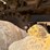 2015-caterpillar-d5k2-lgp-image-8