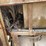 #8633-•-hobart-powerweld-303-welder-trailer-(maq)-image-37