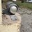 #8614-•-allis-chalmers-p50-forklift-(aps)-image-30