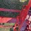 international-b-image-7