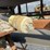#8627-•-carry-away-conveyor-unit-(maq)-image-48